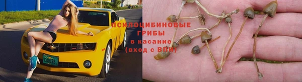 эйфоретик Володарск
