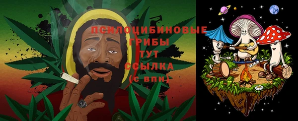 mdma Бородино
