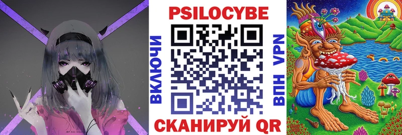 Галлюциногенные грибы Psilocybe  закладки  Верхотурье 